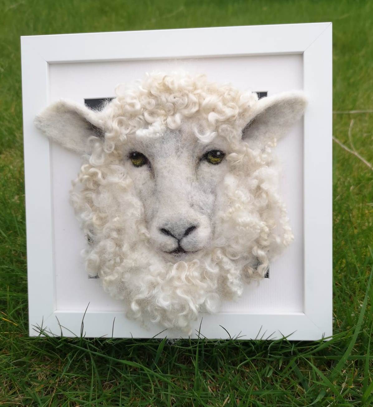'Needle Felted Sheep Portrait of "The Cheviot" ' with Helen Hammond  (low relief) 