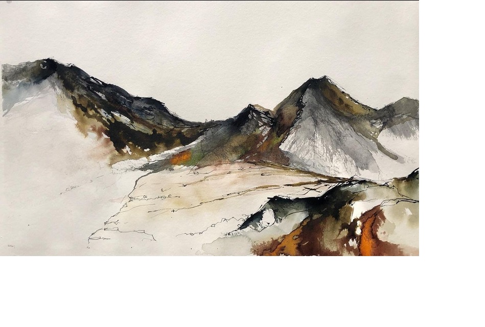 Autumn Series- 'Dynamic Floral & Landscape Abstracts in Ink and Watercolour' - with Lyn Evans. £15 deposit