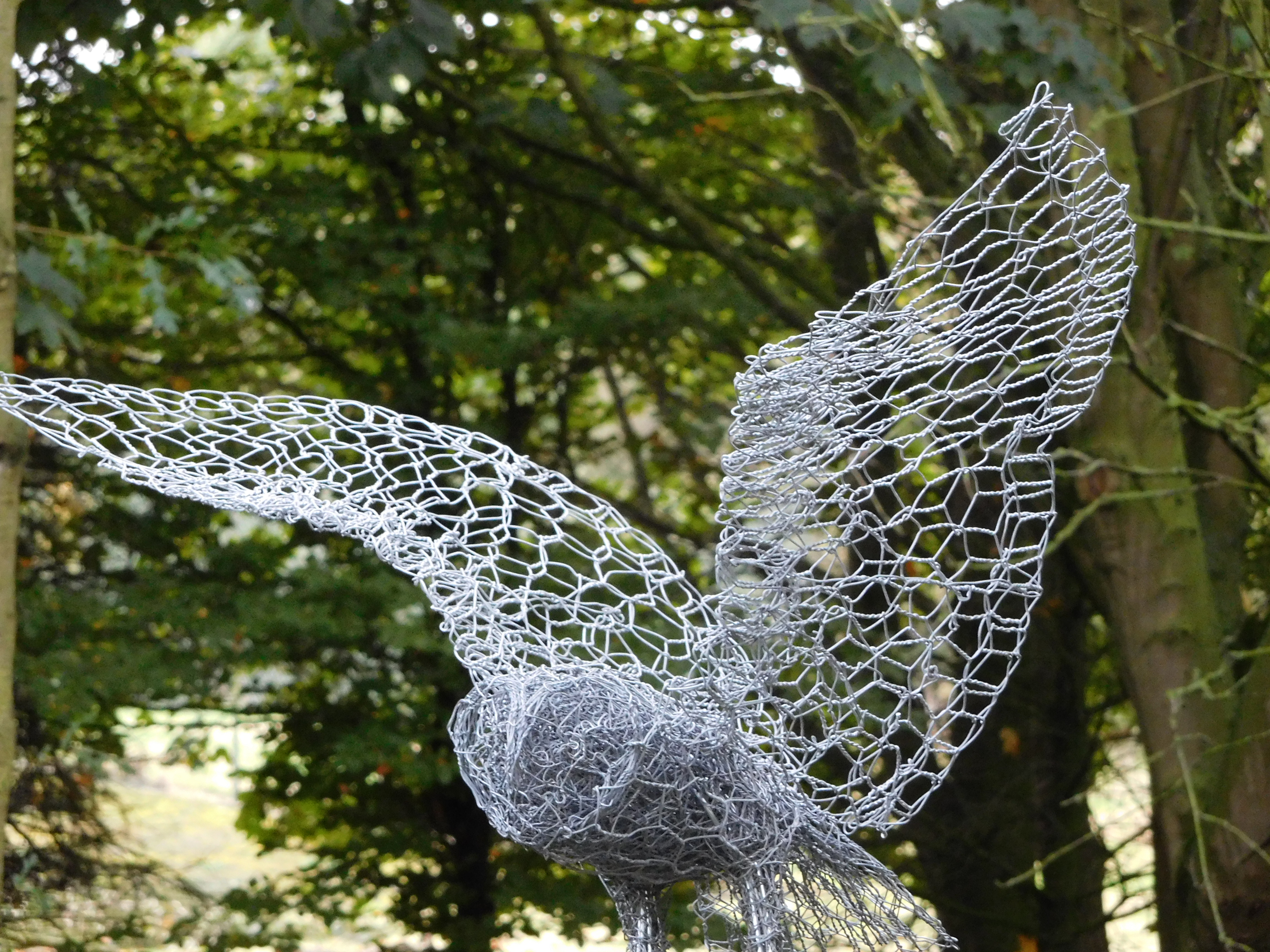 Wire Sculptures 'Owls in Flight' with Sue Nichols