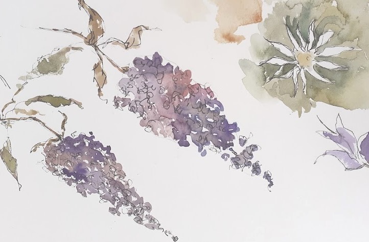 Loose Botanical Watercolours with Lyn Evans