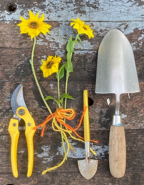 'Gardening for the Terrified' short course with Shelagh Todd  -  lecturer, garden designer & plantswoman.