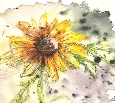 PM Series Exploring Watercolours & more'  with Margaret Jarvis  (£15 deposit)