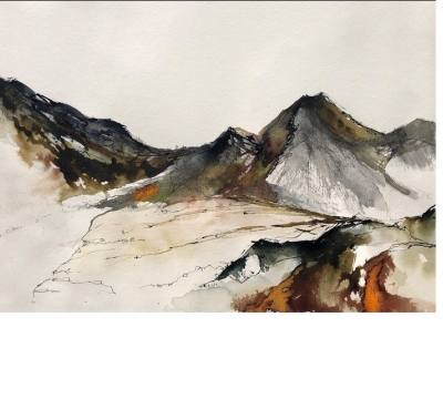 Autumn Series- 'Dynamic Floral & Landscape Abstracts in Ink and Watercolour' - with Lyn Evans. £15 deposit