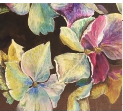 'Botanical Watercolour ' 2 day course 'realistic to abstract' with Karen Innes