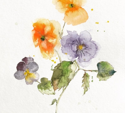 'Loose Botanicals in Watercolours' with an optional hint of Christmas with Lyn Evans