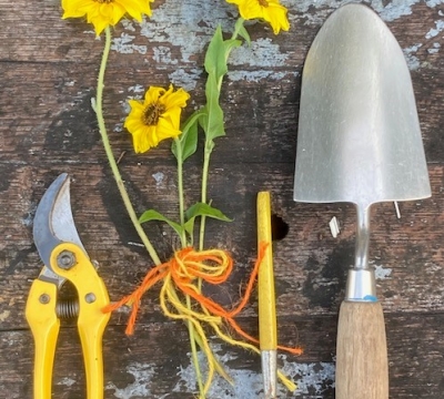 'Gardening for the Terrified' short course with Shelagh Todd  -  lecturer, garden designer & plantswoman.